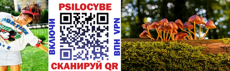 Галлюциногенные грибы MAGIC MUSHROOMS  дарк нет Telegram  Павловский Посад 