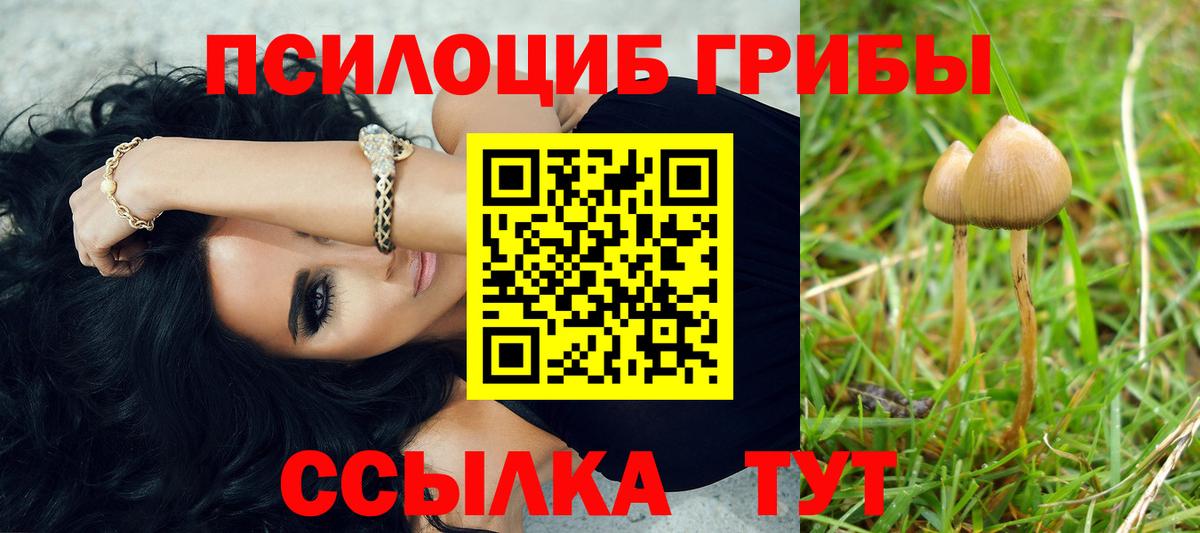 Павловский Посад  Галлюциногенные грибы мицелий  Вход с VPN 