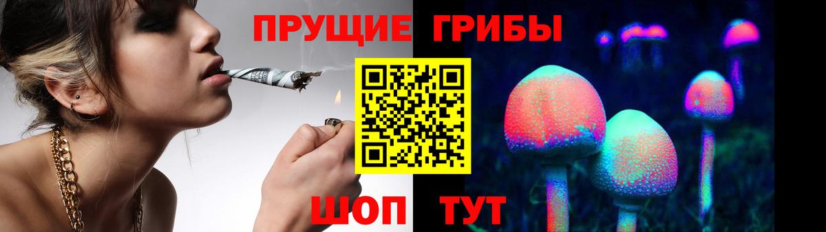 Псилоцибиновые грибы Psilocybe Павловский Посад